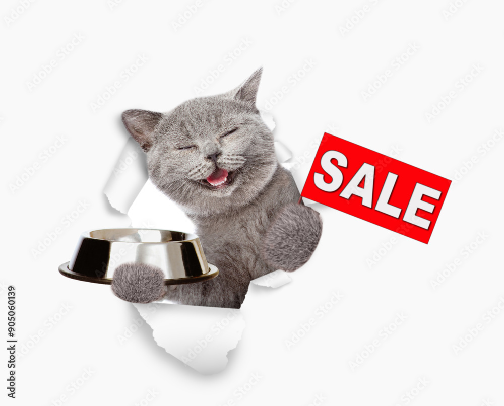 Aufkleber happy kitten looking through the hole in white paper and holding empty bowl and holding signboard wi