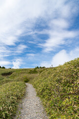 青空が広がる夏の高原