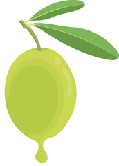 Fresh Olive Fruits with Dripping Oil and Leaves Isolated on White Background