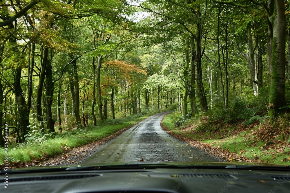 Wall mural a car driving down a road surrounded by trees