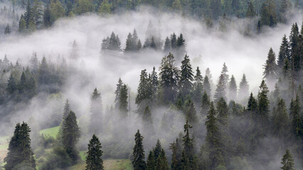 Morning mists on the Podhale slope. Mountain landscape. Podhale and Tatra Mountains views