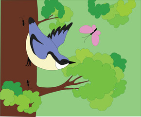 cute cartoon nuthatch in the forest