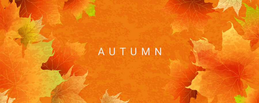 Autumn abstract banner with bright beautiful maple leaves. Fall art background, poster, cover or flyer design. Vector template for advertising, print, packaging, social media