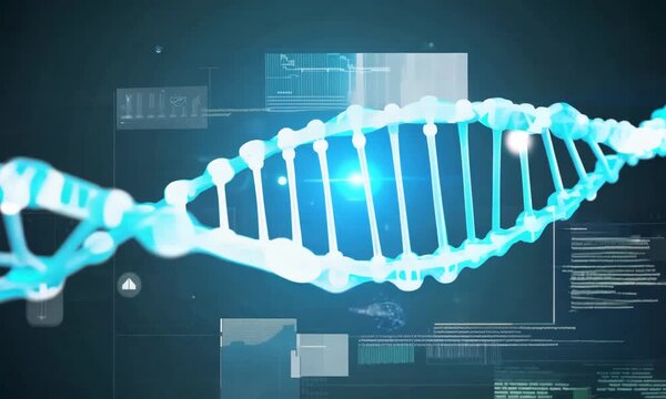 Animated DNA Molecule Structure: Digital Genome Concept