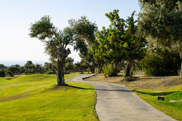 Golf teeing ground in golf course with sunrise background.