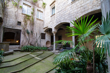 Historic courtyard with ivy-covered walls