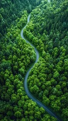 Aerial view asphalt road on the green forest, Curve asphalt road on mountain green forest, Countryside road passing green forest and mountain.