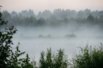 Morning fog in the river
