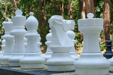 street chess in the city park in the summer season