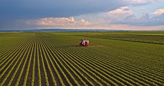 Tractor spraying an industrial soybean crops at agricultural farm