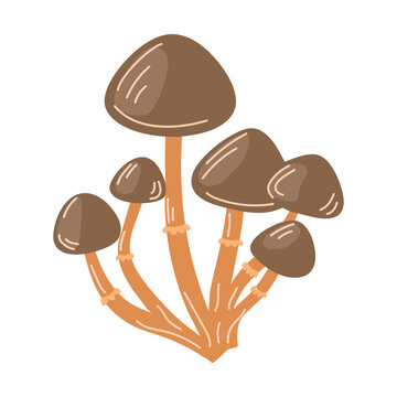 recommend clip art: Honey fungus, mushroom clumps, icon.  Autumn fall forest natural food. Flat graphic vector illustration isolated on white background