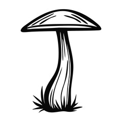 Hand drawn mushroom. Sketch mushroom. Isolated on white background. Black and white.