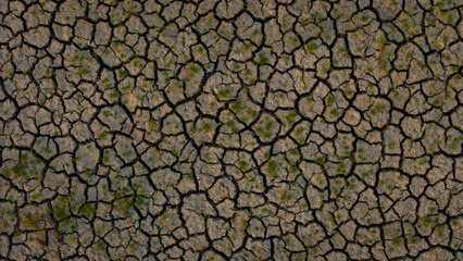 Captivating aerial view of drought-resistant earth, showcasing a mosaic of cracked soil patterns interspersed with resilient green plants