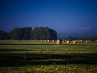 Na łące  sianokosy © Robert