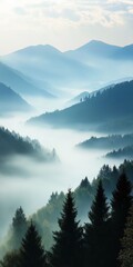 Fototapeta premium The mountains are covered in fog and the trees are tall and green. The sky is blue and the mountains are in the background