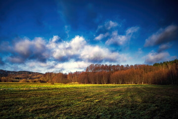 Obraz premium Przedwiośnie