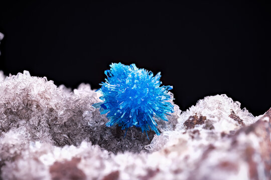 Blue Cavansite mixed with some pentagonite crystals on white  Stilbite-Ca. Specimen from Wagholi Quarry, Pune, Maharashtra, India. photography black background. macro detail close-up mineral crystal

