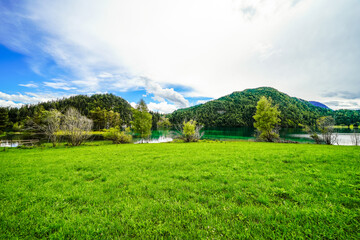 Landscape at Hintersteiner See near Scheffau in Tyrol. Idyllic nature at the mountain lake in the Wilder Kaiser nature reserve in Austria.
