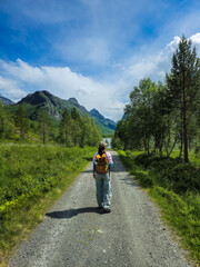 Obraz premium Hiking Through Lush Norwegian Landscape Under Bright Blue Sky