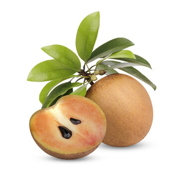 Fresh sapodilla with leaves isolated on transparent background (.PNG)