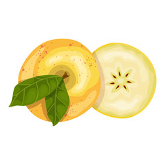 Juicy yellow apple and ripe pieces of fruit. Vector graphics.