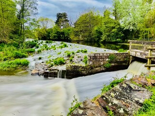Fototapeta premium bridge over the river