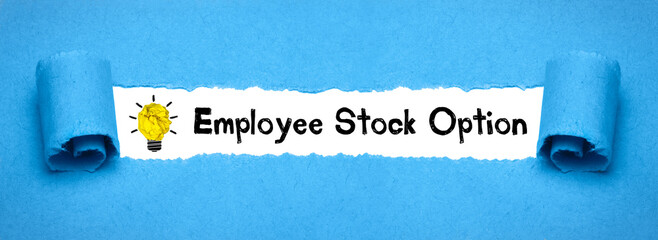 Employee Stock Option	
