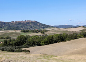 Obraz premium The rural landscape near San Quirico in Tuscany. Italy