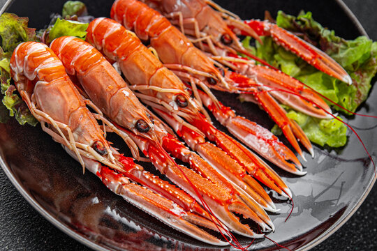 shrimp langoustine tasty seafood prawns delicious fresh meal food snack on the table copy space food background rustic top view 
