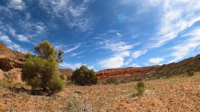 Time lapse in desert, arid, mountainous terrain. Feathery clouds moving across the sky. Saxaul tree in the foreground. Azhir-Zhar tract in Bogutinskiye mountains. Kazakhstan