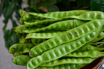 Close-up of bitter bean in kitchen