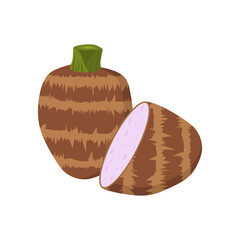 taro root flat design vector illustration isolated on white background.  malanga, colocasia esculenta, satoimo. Chinese and japanese vegetable. Asian cuisine ingredient. Healthy vegetarian food. 