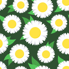 White and yellow stylized chamomile flowers with leaves on dark green background. Vector seamless pattern.