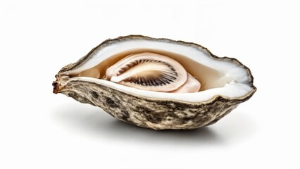  Freshly opened oyster with pearl inside