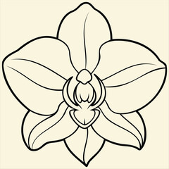 Lotus Flower Line Art