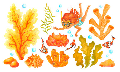 Undersea set with diving child girl character, clown fish and corals. Hand drawn watercolor clipart of seaweeds and marine, animals. Colorful drawing of isolated seabed objects for Prints and designs