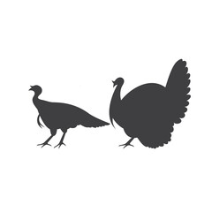 turkey, is a large bird in the genus meleagris.