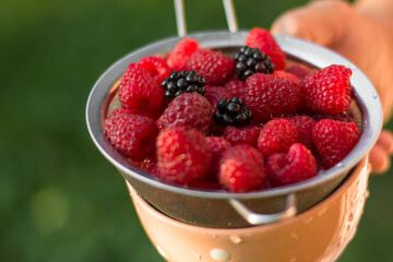 berries in a bowl