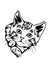 Kitten | Happy Cat | Peeking Cat | Fur Baby | Domestic Animal | Cat | Cat Breed | Furry Pet | Original Illustration | Vector and Clipart | Cutfile and Stencil