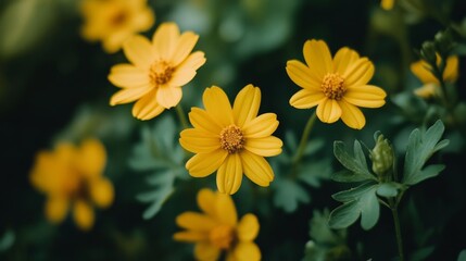 A close-up image of vibrant yellow flowers blooming in a lush green garden, symbolizing nature, beauty, growth, vibrancy, and new beginnings.