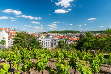 View from Havlickovy sady in Prague city in Czech republic