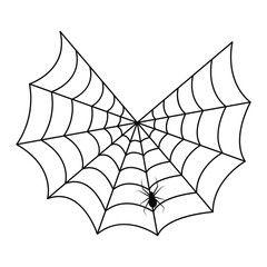 Linear hand drawing of a spider web for Halloween. Hand-drawn prints and doodles for holiday postcards, children's textiles. Vector illustration