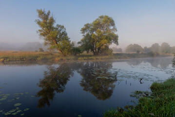 Starorzecze Wisły o świcie, Polska Śląsk 
