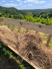There is a lot of hay for domestic animals in large wooden mangers. A manger for hay is installed on a cliff. Mountains, trees, meadow behind