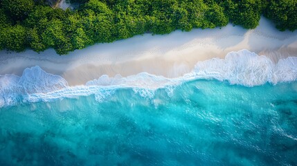 Secluded Beach with Azure Waves and White Sand