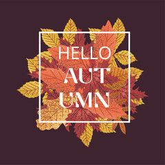 Hello Autumn illustration with vibrant leaves on dark background. Perfect for seasonal designs, greeting cards, and digital projects. Warm, inviting fall theme with colorful leaf cluster © Viktoriia