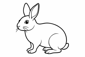 rabbit line art vector, rabbit outline icon