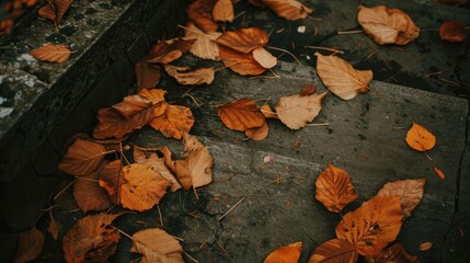fallen autumn leaves