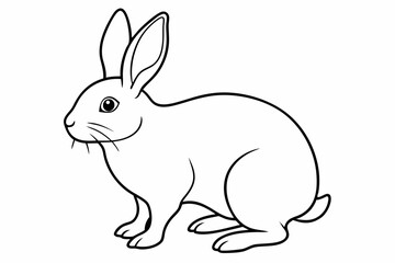 rabbit line art vector, rabbit outline icon
