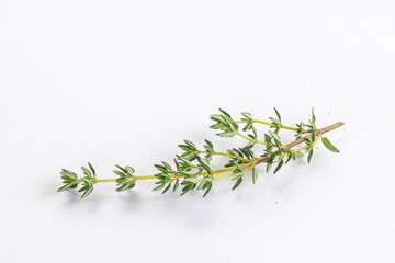 Aroma seasoning thyme stem with leaves
